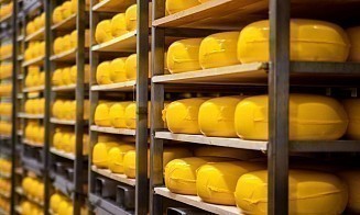 Беларусь уменьшила экспортные цены на отдельные виды сыра для России