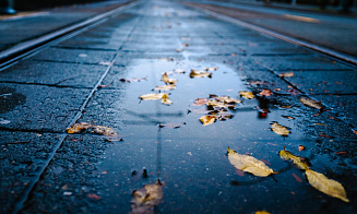 Ждать ли ночных заморозков? Прогноз погоды на предстоящие выходные