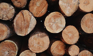 В Беларуси утвердили объем внебиржевой торговли древесиной на 2025 год 