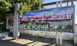 В Бобруйске с дисконтом 90% продают частный тепличный комбинат