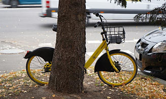 В ГАИ оценили, как повлияло на безопасность изменение ПДД для велосипедов и самокатов
