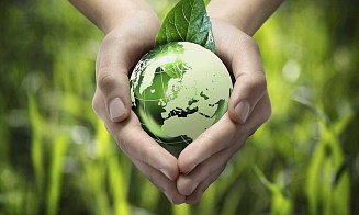 Зачем бизнесу выпускать eco-friendly-товары и как повысить спрос на экологичные продукты