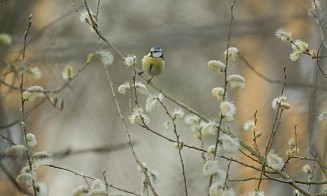 Прощай, тепло. Синоптик рассказал о резком похолодании на новой рабочей неделе