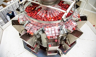 Как в Марьиной Горке делают замороженные ягоды и чебуреки без вредных «ешек»