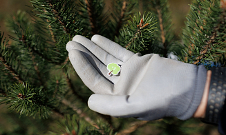 Под Минском начали высаживать Парк тысячи растений