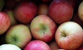 Поставщикам в Беларуси разрешили повышать цены на яблоки, но есть условие