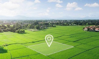 Стоимость всех земель в Беларуси оценили в $216 млрд