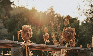 В Беларусь идет пятое время года: прогноз синоптиков на первую неделю сентября