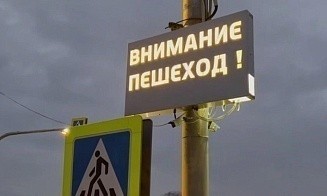 В Чаусах начали тестировать первую в стране умную зебру