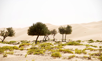 Оман предоставит Беларуси землю для строительства туристического кластера