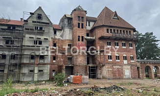 На аукцион выставили недостроенный замок вблизи Минского моря за $2,4 млн