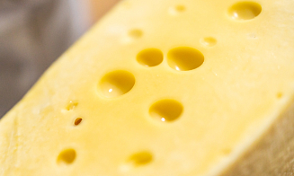 С начала года Беларусь увеличила закупки российского сыра на 39%