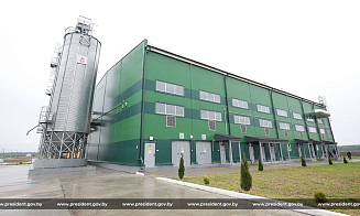 Лукашенко поручил активнее развивать производство и использование пеллет