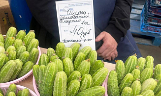 Цены на огурцы и помидоры завышены на 40%. МАРТ проверил Комаровку