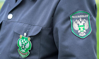 Поставки продукции двух белорусских предприятий  возобновили в Россию