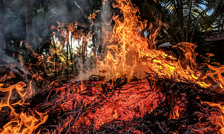 Туристов эвакуируют из отелей популярного курорта Турции