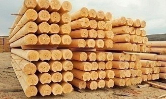Лесхозы переходят на электронные накладные. Что нужно знать покупателям древесины