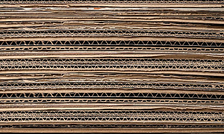 В Беларуси предлагают ввести лицензирование экспорта макулатуры