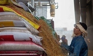 Из-за дефицита пшеницы египетские власти разрешили трейдерам закупки в любой стране