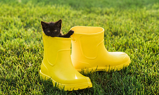 «Такой холодный май бывает раз в 8 лет». В Белгидромете объяснили, что с погодой в Беларуси