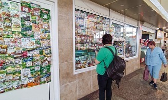 Белстат подсчитал, сколько ИП осталось в Беларуси и каким бизнесом они занимаются