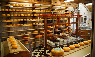 Беларусь вошла в первую пятерку мировых экспортеров сыра