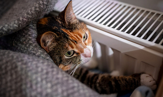 Минские власти решили включить отопление в офисах