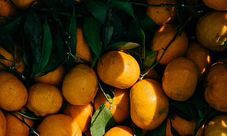 Из России в Беларусь не пропустили 40 тонн крупы и крупную партию мандаринов