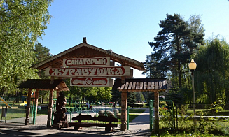 В собственность Беларуси безвозмездно передадут санаторий