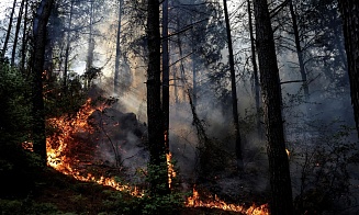 Красный уровень опасности: синоптики снова объявили в Беларуси штормовое предупреждение