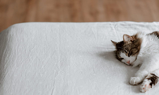 Исследование: сон в выходные спасает от депрессии