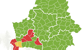 В Беларуси ввели первые запреты на посещение лесов