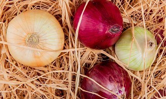 Лук по цене iPhone: витебский Остап Бендер придумал простую схему обмана поклонников Apple