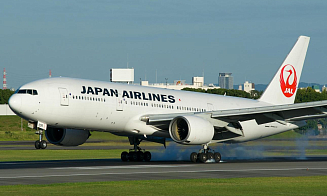 Японская авиакомпания организовала дополнительный рейс из-за пассажиров-сумоистов