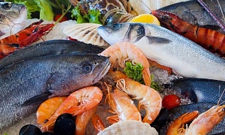 В какие страны Беларусь поставляет рыбу