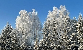 В Беларусь придут сильные морозы. Местами температура достигнет минус 30°C