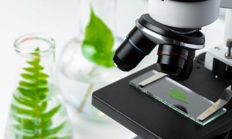 «Лунь болотный — это лягушка или растение?» Какие ошибки чаще всего допускают на ЦТ по биологии