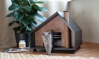 Домики для кошек: уютное пространство для комфорта и безопасности питомцев