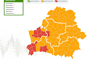 По всей Беларуси ограничили или запретили походы в лес