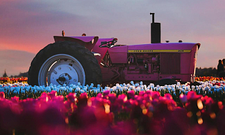 Грузия запретила белорусам реэкспортировать автомобили и спецтехнику