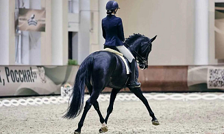 Белорусов и россиян допустили к командным соревнованиям по конному спорту