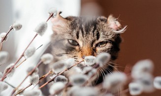 Какая погода будет в Беларуси на больших выходных