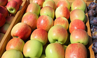 Беларусь снова вводит лицензии на экспорт яблок и лука