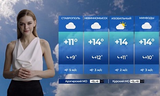 «Человеки могут простудиться»: телеканал нанял нейросеть вместо ведущих прогноза погоды