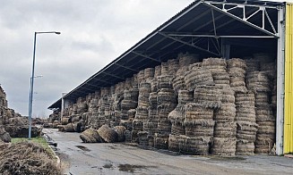 Против руководства льнозавода возбудили уголовное дело за порчу льна на 5 млн рублей