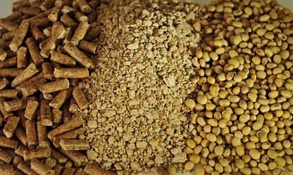 Беларусь вошла в топ покупателей жмыхов и шротов из России