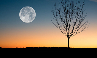 У Земли на два месяца появится вторая Луна