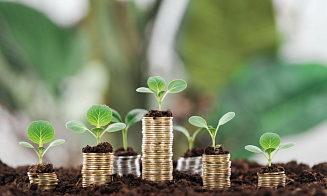 Бизнесу предложили «Капусту»: как работает сервис онлайн-заимствования для юрлиц