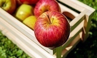 Сколько продукции производят фермерские хозяйства Беларуси