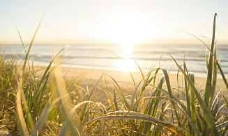 Весна закончится на неделю раньше. Какой будет погода на следующей рабочей неделе